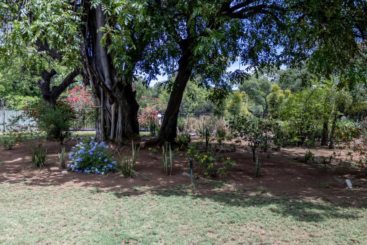 Sunbird Lodge Phalaborwa Kültér fotó