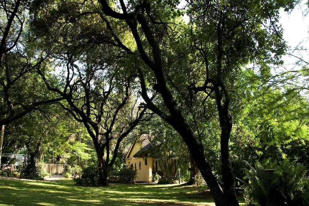 Sunbird Lodge Phalaborwa Kültér fotó