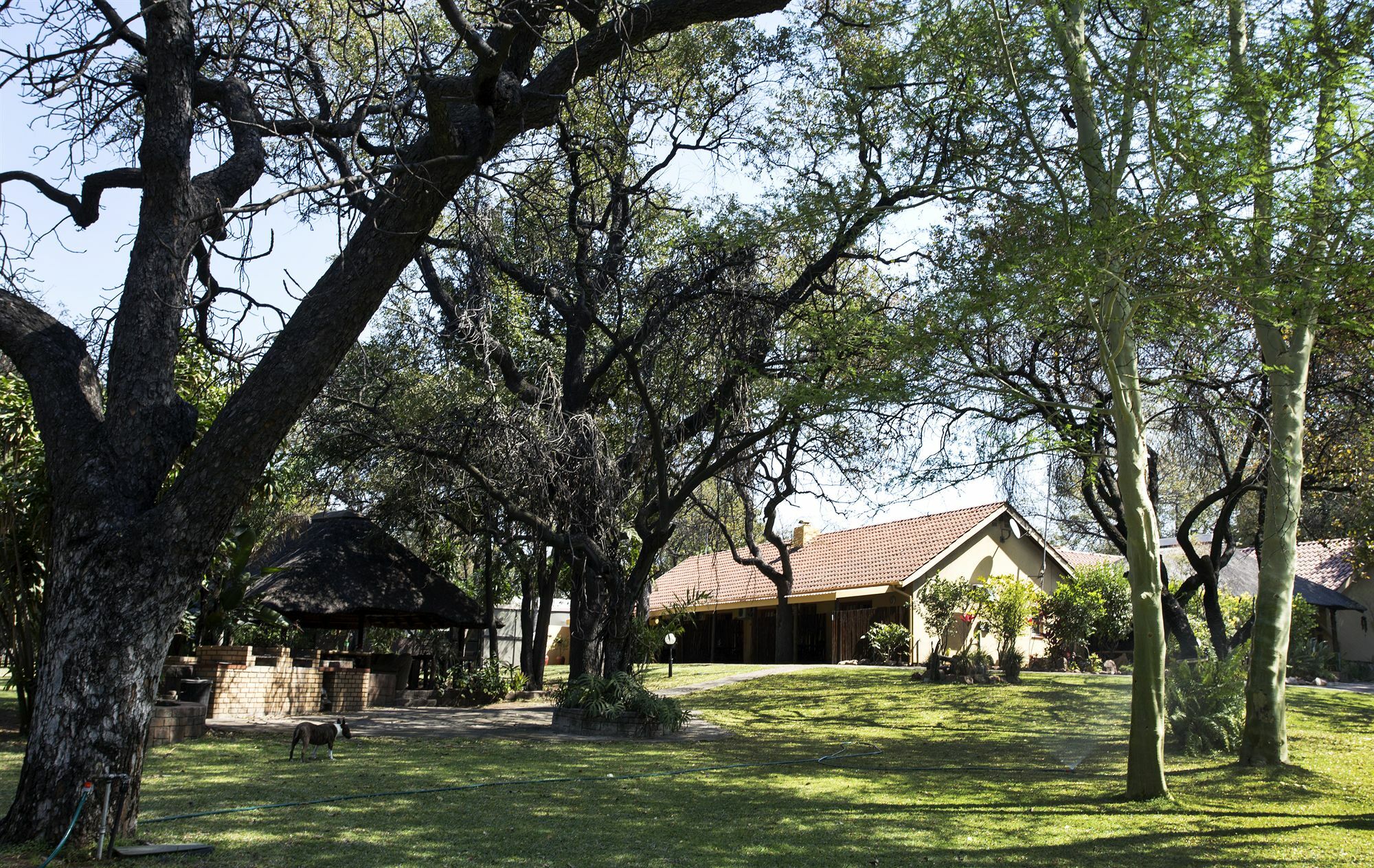 Sunbird Lodge Phalaborwa Kültér fotó