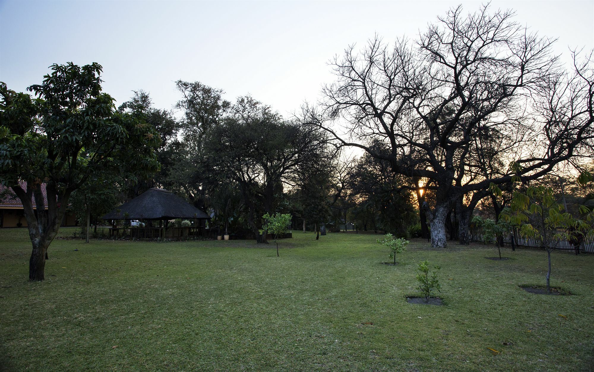 Sunbird Lodge Phalaborwa Kültér fotó